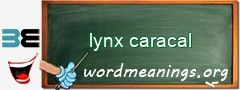 WordMeaning blackboard for lynx caracal